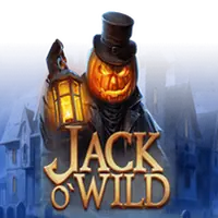 Jack O'Wild